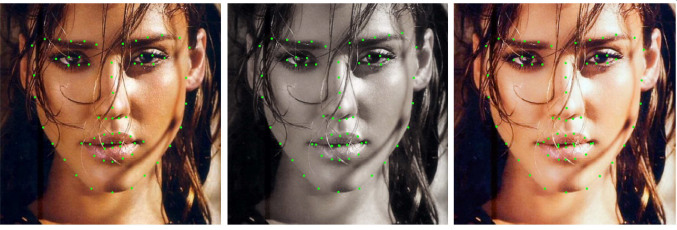 人脸关键点定位算法在实际应用中的经验总结