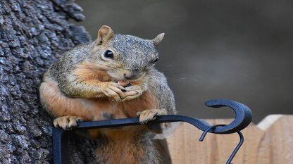 OpenTelemetry 声明式配置迎来稳定性里程碑