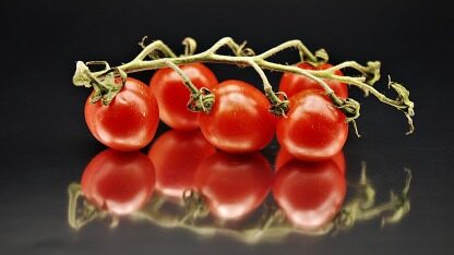 第二届“多多农研科技大赛”决赛名单出炉，看4支团队“花样AI”种番茄