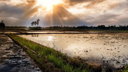 蚂蚁阿福:从 0 到生产的医疗 Agent 工程化落地|QCon北京