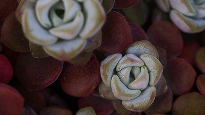 亚马逊云科技推出可持续发展控制台,支持 API 访问及 Scope 1-3 碳排放报告