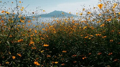 Cloudflare 正式发布 Python Workers，但关于冷启动和上游维护的问题仍待解答