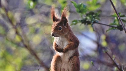 Slack 长时运行多智能体系统的上下文管理方案