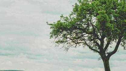 Discord 工程团队如何在 Elixir Actor 模型中实现分布式追踪而不牺牲性能