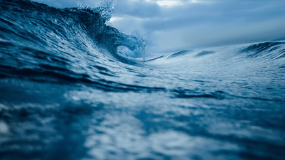 大咖论道 | 基础软件的过去、现在、未来