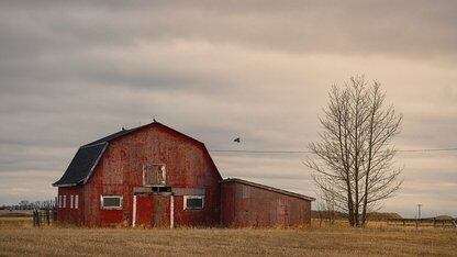 记忆驱动的 DevOps Agent：从经验沉淀到自动化技能进化的工程实践｜QCon北京