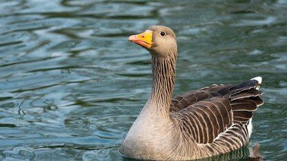 让每个员工都有一个 Coding Agent:蚂蚁 Vibe Coding 平台落地半年后的实践经验|QCon北京