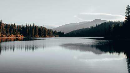 JavaScript 2025状态调查：生态趋于成熟，TypeScript巩固主导地位