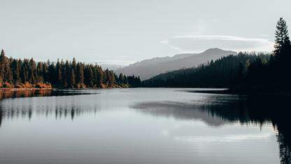 谷歌开源实验性多智能体编排测试平台 Scion