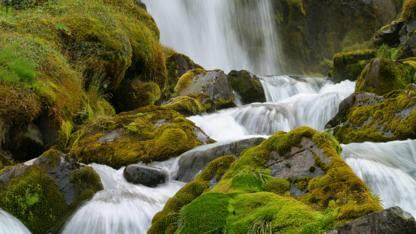 子组件的点击事件，如何正确让父组件进行响应？