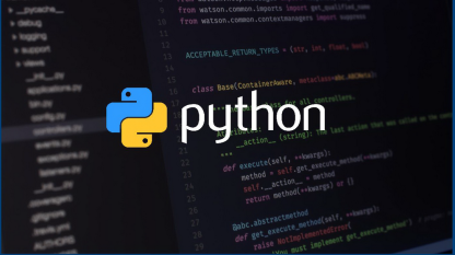Python 2019年开发者调查报告