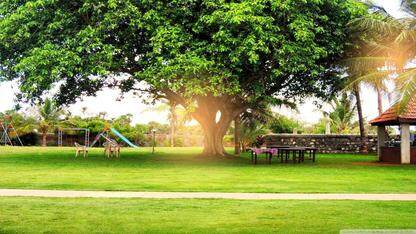 为什么 MySQL 使用 B+ 树 (二)