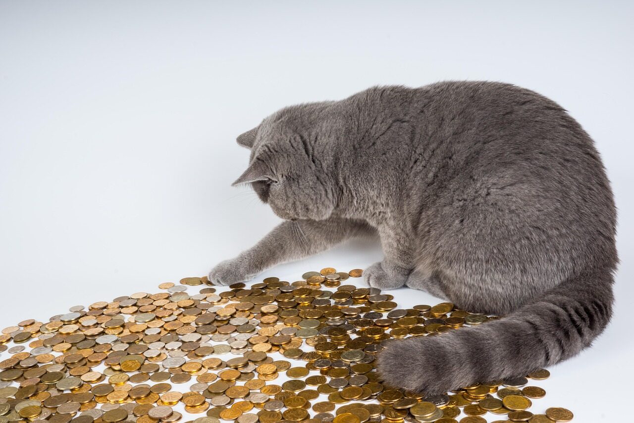 宇树科技最新官宣：年内提交IPO，最快下个月