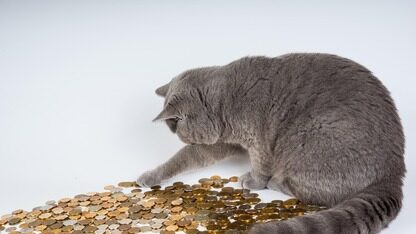 宇树科技最新官宣：年内提交IPO，最快下个月