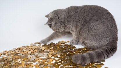 全球首个IPO大模型公司出现！智谱携500亿估值开启招股、70%募资投研发，1月8日登陆港股