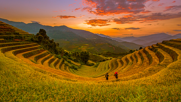 入侵30家大型机构、Claude自动完成90%？Anthropic 被质疑，Yann LeCun：他们利用可疑的研究来恐吓所有人