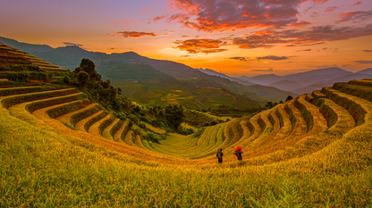 入侵30家大型机构、Claude自动完成90%？Anthropic 被质疑，Yann LeCun：他们利用可疑的研究来恐吓所有人