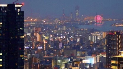 在笔记本电脑上自定义并显示 AWS DeepLens 项目输出