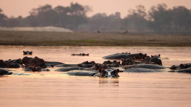 劈柴哥玩得上头！Nano Banana Pro 真杀疯了，但谷歌没接住用户的付费热情？