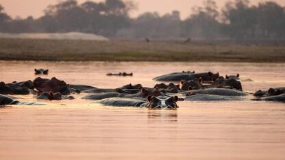 Cloudflare Workflows为持久化的AI管道提供了Python支持