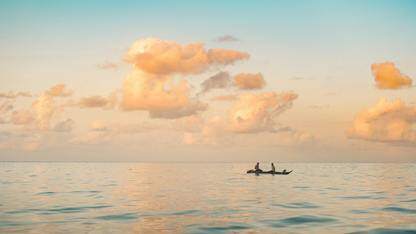 “新”意十足 ·&nbsp;HarmonyOS模板&组件  （本次上新：社交、简历、翻译模板；聊天窗、购票等组件）