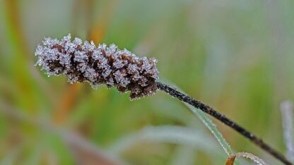 高层出走、G7反对，Facebook Libra 进退两难