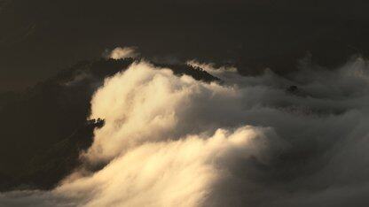 谷歌Metrax为JAX引入了预定义的模型评估指标