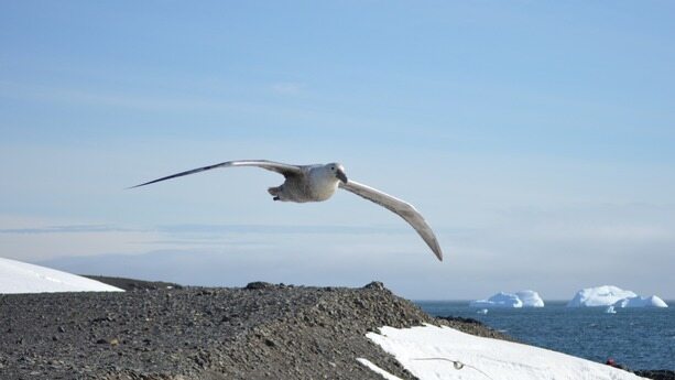 从 CentOS 停服说起，龙蜥操作系统的开源观