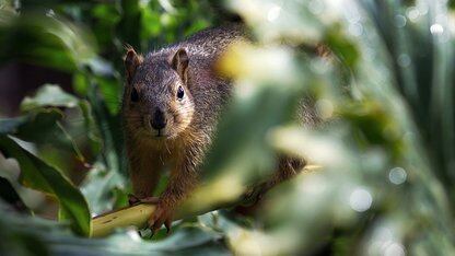 超越 RAG：用 Spring Boot 构建具备上下文感知能力的 AI 系统