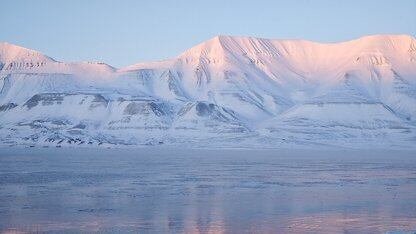 从分散存储到统一分析，Apache Doris 在快手万亿规模广告场景的应用实践
