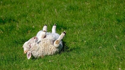 亚马逊云科技支持通过RDS for SQL Server数据库事件触发Lambda函数