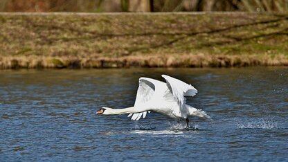 .NET 10现已在AWS Lambda上作为托管运行时和基础镜像提供