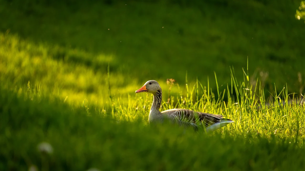重新审视数字化投入产出比：金融机构如何在低成本下实现高杠杆？