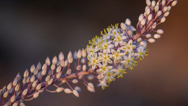 英特尔中国40年，未来战略明确：坚持代工业务，Intel 18A 是未来三代产品基石