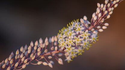 “AI火了,我们却快完了!”顶级开源框架Tailwind之父含泪裁掉75%兄弟:半年后,这个项目可能就没了