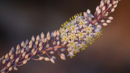 时隔七年,谷歌以Jetpack Navigation 3重塑Android导航体验