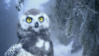 一图看懂鸿蒙创新特性:意图框架