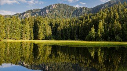 Lakehouse 如何重塑企业数据生态？