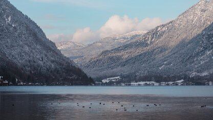 Rspress 2.0发布：面向体验与AI的全新升级