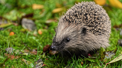 亚马逊云科技为S3 Tables添加智能分层存储和复制功能