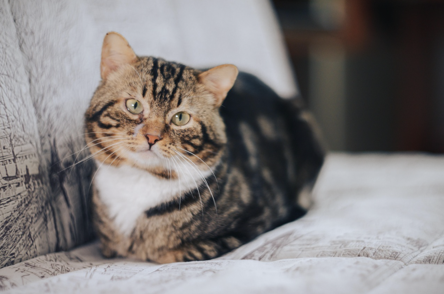 三大头部互联网企业交锋,AI 时代可观测边界出现了吗?