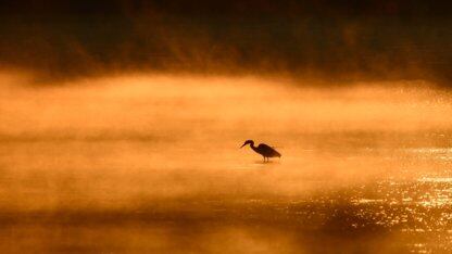 聚焦AI，深耕智造丨2026 赋能开发者大会圆满举办！