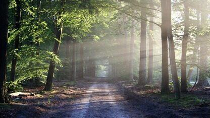 HarmonyOS行业解决方案，提供各行业鸿蒙应用&元服务全流程技术方案