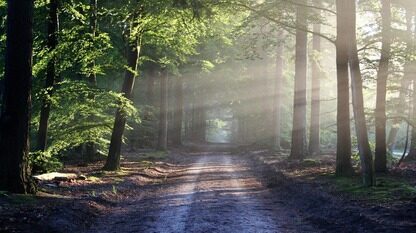 深度探讨“云+智能计算”，智算新基础设施分论坛议程揭晓 | 2025 龙蜥大会