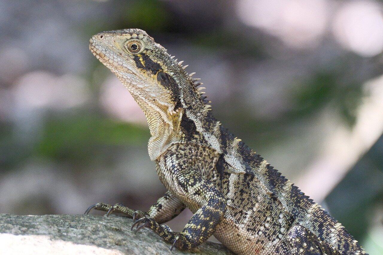 Cursor们疯狂生码，引爆无限软件危机！Netflix大佬警告：氛围编程正把我们带向灾难，程序员得动脑子