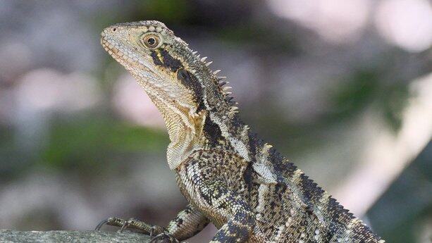 Cursor们疯狂生码，引爆无限软件危机！Netflix大佬警告：氛围编程正把我们带向灾难，程序员得动脑子