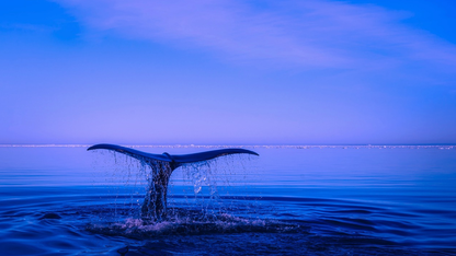 百度端侧大模型安全建设实践:在算力与保障之间找到平衡