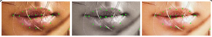 人脸关键点定位算法在实际应用中的经验总结