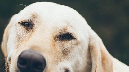 规范化后量子IPsec: Cloudflare采用混合ML-KEM以取代密码套件膨胀