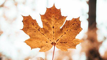 来，和模力工场一起亮相中国智能硬件开年第一展